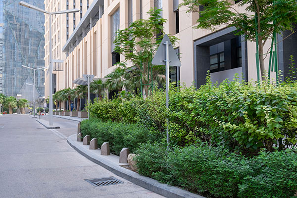 Landscaping service - Greenery & Beautification